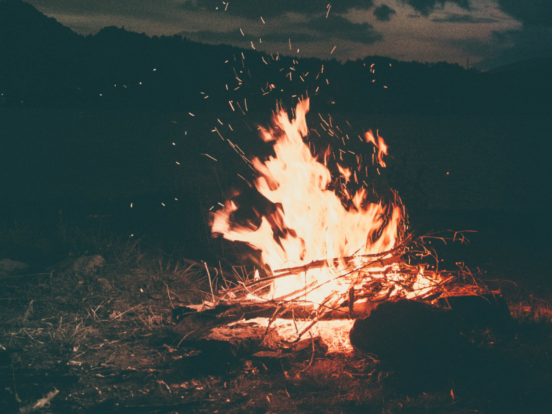 Billede af et bål om aftenen i en skov.